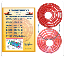 remkomplekt-gidrocilindra-452802